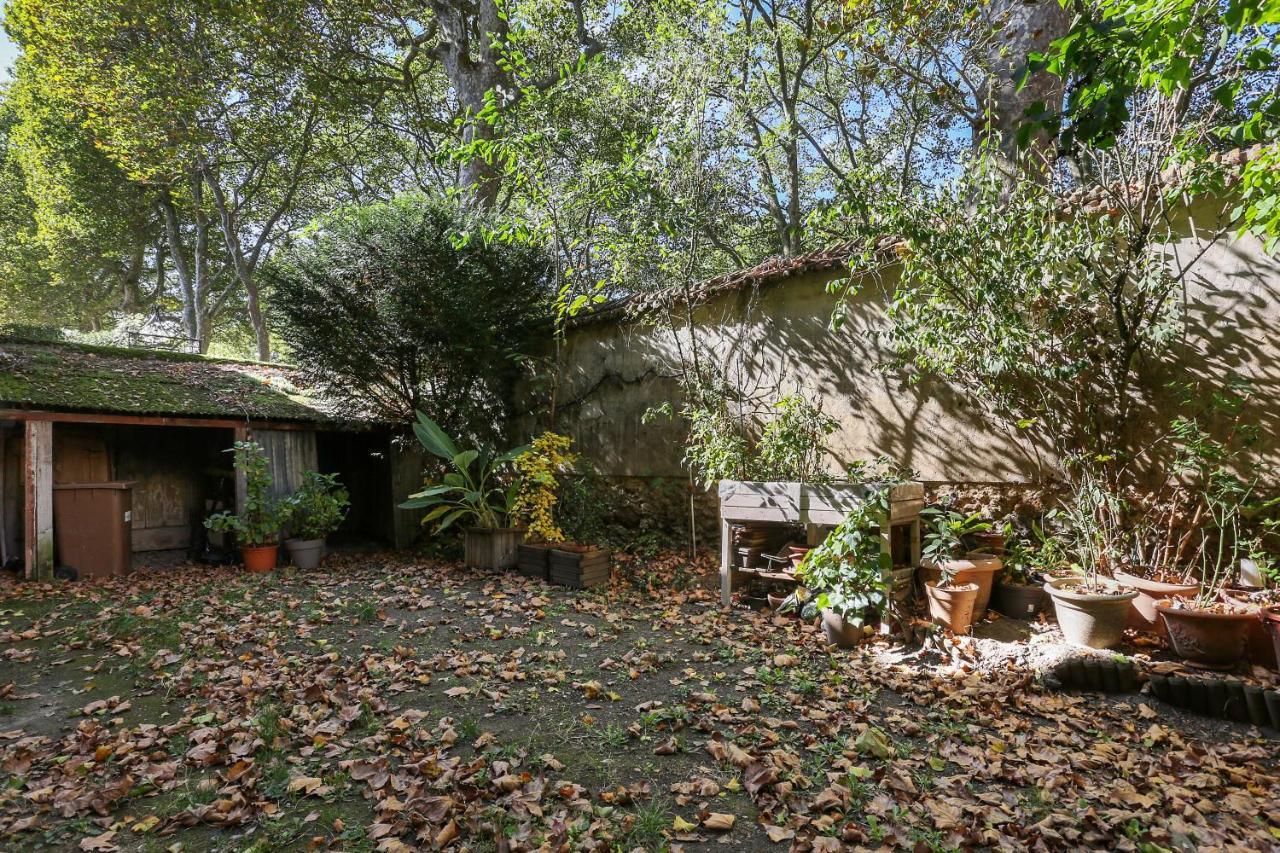 Apartament Aux Loges De L'Orangerie Wersal Zewnętrze zdjęcie
